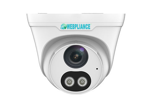 4MP HD Network Eyeball Camera Image